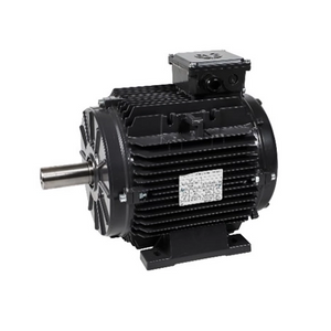 Moteur Pmsm haute puissance 72v 96v approuvé CE